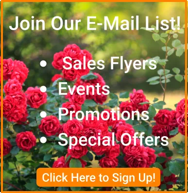 Click Here For Details Click Here to Sign Up! Join Our E-Mail List! •	 Sales Flyers •	Events •	Promotions •	Special Offers