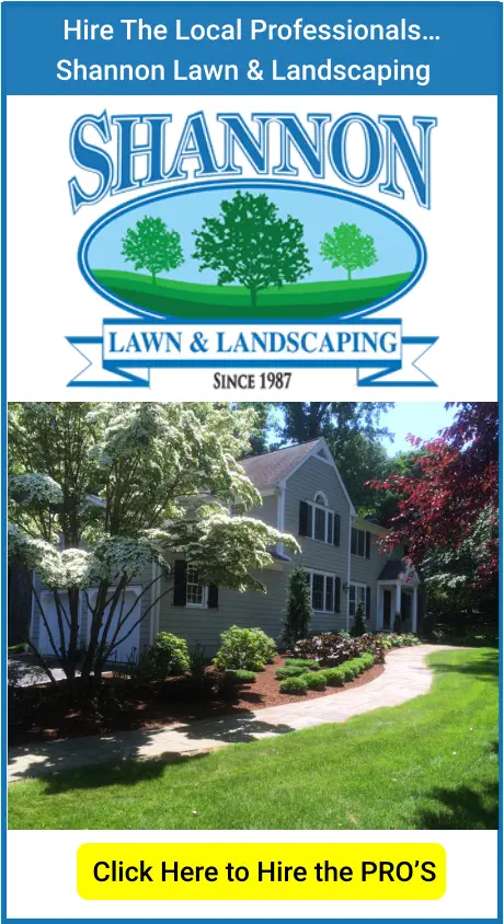 Hire The Local Professionals… Shannon Lawn & Landscaping Click Here to Hire the PRO’S