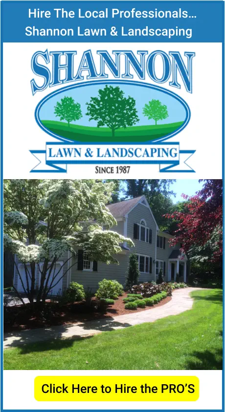 Hire The Local Professionals… Shannon Lawn & Landscaping Click Here to Hire the PRO’S