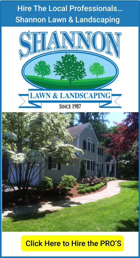 Hire The Local Professionals… Shannon Lawn & Landscaping Click Here to Hire the PRO’S