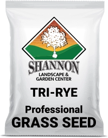 TRI-RYE Professional GRASS SEED