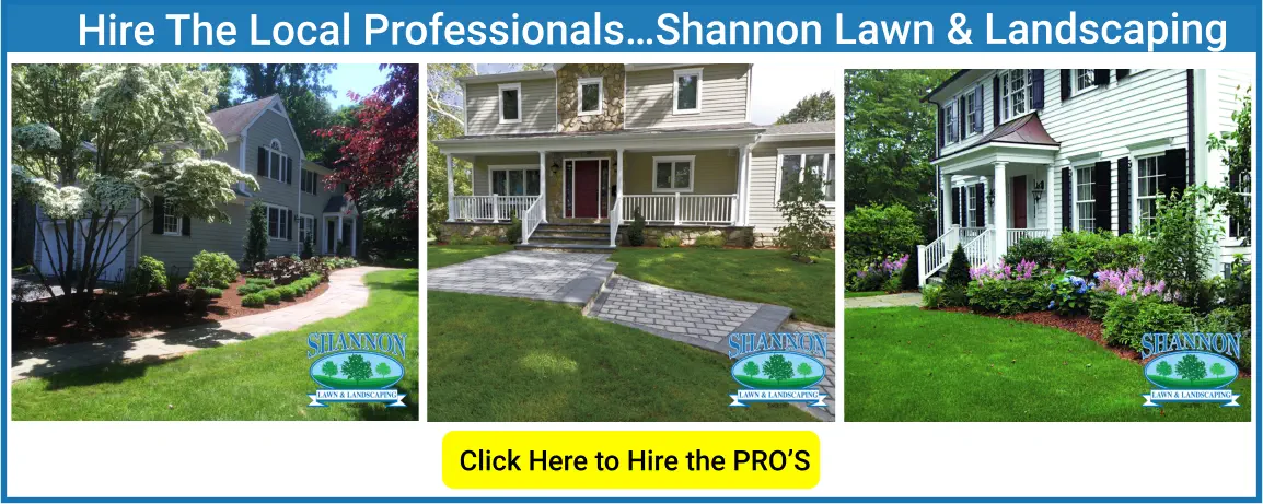 Click Here to Hire the PRO’S  Hire The Local Professionals…Shannon Lawn & Landscaping