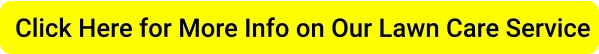 Click Here for More Info on Our Lawn Care Service