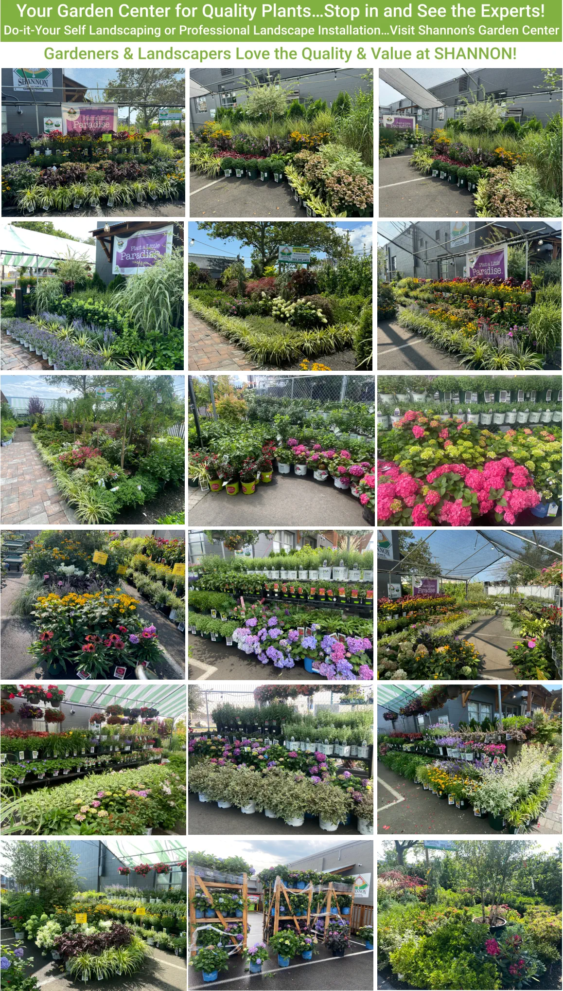 Your Garden Center for Quality Plants…Stop in and See the Experts! Do-it-Your Self Landscaping or Professional Landscape Installation…Visit Shannon’s Garden Center Gardeners & Landscapers Love the Quality & Value at SHANNON!